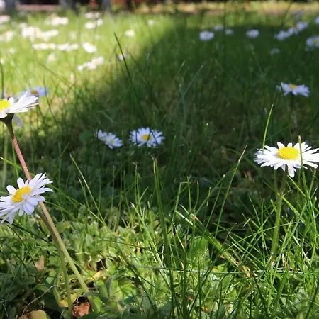 Ferienhaus House Neeltje, 2 Borkum